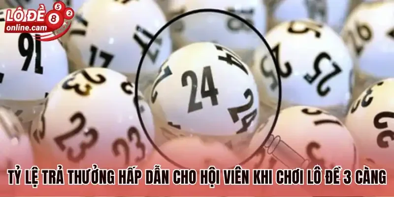 Tỷ lệ trả thưởng hấp dẫn cho hội viên khi chơi lô đề 3 càng 