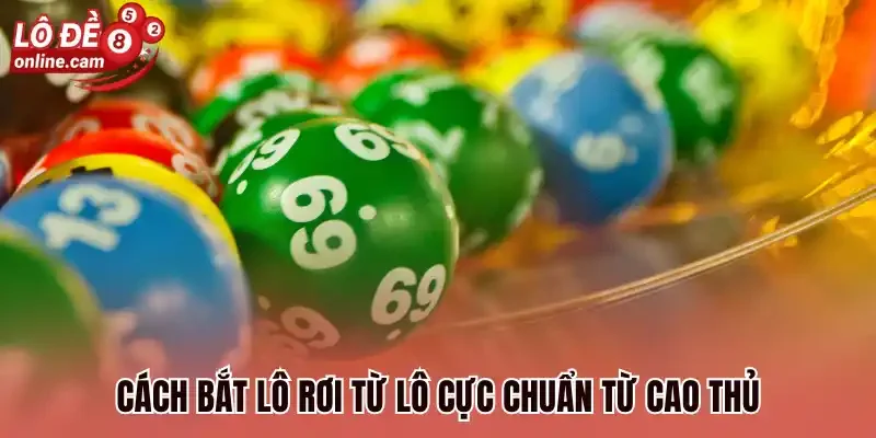 Cách bắt lô rơi từ lô cực chuẩn từ cao thủ