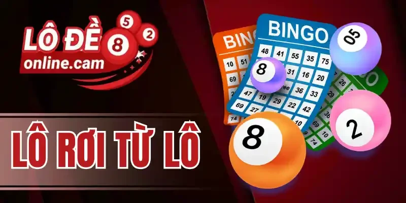 Cách bắt lô rơi từ lô cực chuẩn từ cao thủ