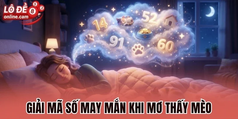 Giải mã số may mắn khi mơ thấy mèo